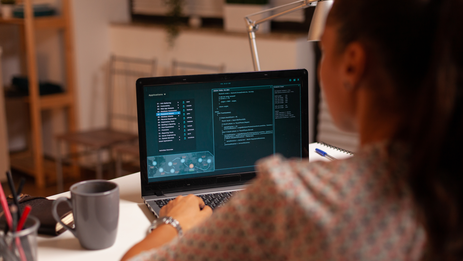 Website development on SkeekS CMS