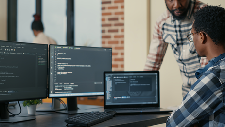 Website development on dxCMS