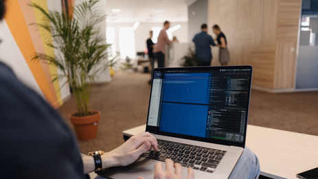 Website development on Molinos CMS