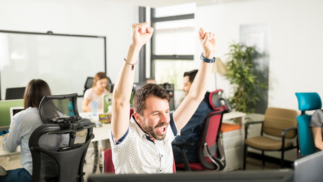 Розробка сайтів на DirektWEB