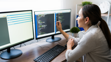 Website development on SkynarCMS