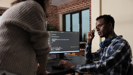 Website development on dotSoft CMS