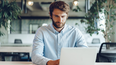 Website development on Xdp17