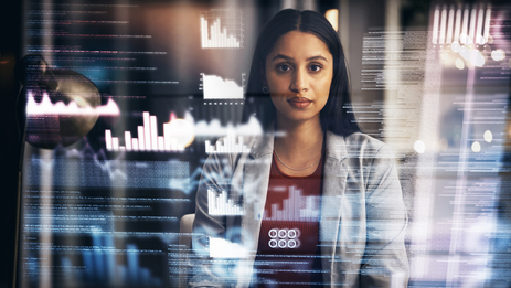 Website development on VDcgi